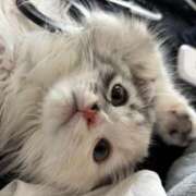 ヒメ日記 2025/07/03 22:09 投稿 ユナ ドMなバニーちゃん水戸店