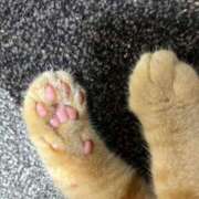 ヒメ日記 2025/08/05 12:23 投稿 ユナ ドMなバニーちゃん水戸店