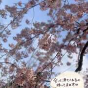 ヒメ日記 2025/04/11 08:15 投稿 天海 人妻楼 熊谷店