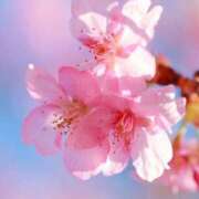 ヒメ日記 2026/03/28 08:30 投稿 天海 人妻楼 熊谷店