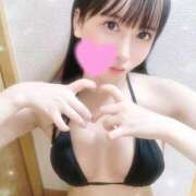 ヒメ日記 2024/12/19 21:33 投稿 杉〇なぎさ【AV女優】 BLUE BIRD (ブルーバード) 上越