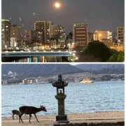 ヒメ日記 2024/12/19 23:08 投稿 みう 熟女家 豊中蛍池店