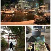 ヒメ日記 2025/02/11 20:56 投稿 みう 熟女家 豊中蛍池店