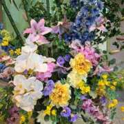 ヒメ日記 2025/03/31 17:23 投稿 みう 熟女家 豊中蛍池店