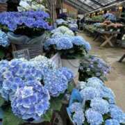 ヒメ日記 2025/06/29 21:50 投稿 みう 熟女家 豊中蛍池店