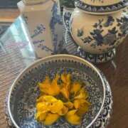 ヒメ日記 2025/07/31 23:55 投稿 みう 熟女家 豊中蛍池店