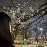 ヒメ日記 2026/03/29 09:26 投稿 みう 熟女家 豊中蛍池店