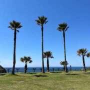 ヒメ日記 2026/04/21 21:59 投稿 みう 熟女家 豊中蛍池店