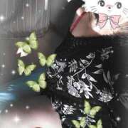 ヒメ日記 2025/04/13 11:03 投稿 ももえ 大高・大府市・東海市ちゃんこ