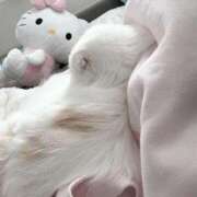 ヒメ日記 2026/02/01 13:25 投稿 春菜　もえ Amateras～アマテラス～