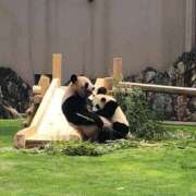 ヒメ日記 2024/12/18 16:48 投稿 あいり 素人アロマエステ東京密着ROOM 渋谷店