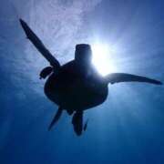 ヒメ日記 2024/12/23 21:28 投稿 あいり 素人アロマエステ東京密着ROOM 渋谷店