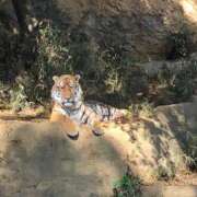 ヒメ日記 2024/12/25 18:58 投稿 あいり 素人アロマエステ東京密着ROOM 渋谷店