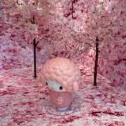 ヒメ日記 2025/01/17 19:31 投稿 あいり 素人アロマエステ東京密着ROOM 渋谷店