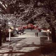 ヒメ日記 2025/04/02 23:58 投稿 あいり 素人アロマエステ東京密着ROOM 渋谷店