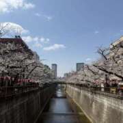 ヒメ日記 2025/04/01 19:48 投稿 ちせ One More奥様　厚木店