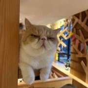 ヒメ日記 2024/12/18 12:35 投稿 はづき【実在したドM保育士】 STELLA TOKYO－ステラトウキョウ－