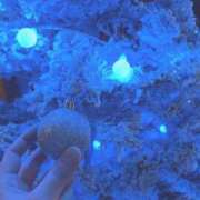 ヒメ日記 2024/12/19 16:50 投稿 はづき【実在したドM保育士】 STELLA TOKYO－ステラトウキョウ－