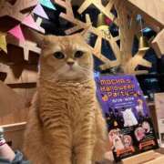 ヒメ日記 2024/12/22 16:19 投稿 はづき【実在したドM保育士】 STELLA TOKYO－ステラトウキョウ－