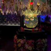 ヒメ日記 2025/02/27 19:17 投稿 はづき【実在したドM保育士】 STELLA TOKYO－ステラトウキョウ－