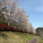 ヒメ日記 2025/04/10 21:27 投稿 特プレミアちとせ【理想超える♡】 LIPS(リップス)