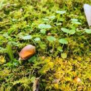 ヒメ日記 2024/12/11 20:30 投稿 特プレミアのの【惚れる女性♡】 LIPS(リップス)