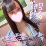 ヒメ日記 2025/02/24 23:45 投稿 アミナ ファーストレディー