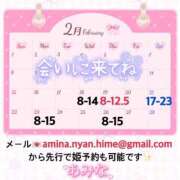 ヒメ日記 2026/02/16 20:03 投稿 アミナ ファーストレディー