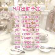 ヒメ日記 2025/04/01 22:40 投稿 あずさ 吉原ファーストレディ