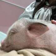 ヒメ日記 2025/12/10 16:49 投稿 あずさ 吉原ファーストレディ