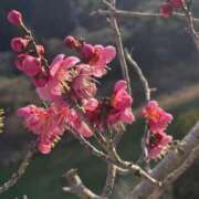ヒメ日記 2026/02/15 09:43 投稿 なおこ あげまん 西中島店