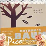 ヒメ日記 2026/01/23 15:01 投稿 ゆきの あげまん 西中島店