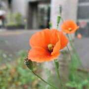 ヒメ日記 2025/07/19 11:45 投稿 みなと あげまん 西中島店