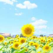 ヒメ日記 2026/07/15 08:32 投稿 みなと あげまん 西中島店