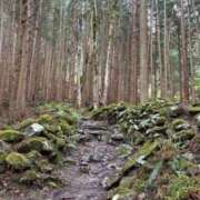 ヒメ日記 2025/07/06 20:14 投稿 ふたば あげまん 西中島店