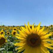 ヒメ日記 2025/08/02 19:27 投稿 ふたば あげまん 西中島店