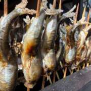 ヒメ日記 2025/11/08 00:56 投稿 ふたば あげまん 西中島店