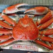 ヒメ日記 2025/11/16 08:44 投稿 ふたば あげまん 西中島店