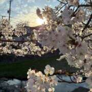 ふたば 明日出勤します😊 あげまん 西中島店