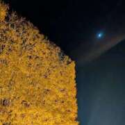 ヒメ日記 2025/12/04 19:06 投稿 わかな sweet kiss