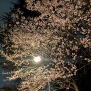 わかな 今年もお花見に行きたくなる sweet kiss