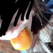 ヒメ日記 2024/12/15 10:34 投稿 【ふうか】未経験おっとり美女 コーチと私と、ビート板･･･