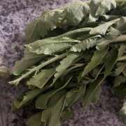 ヒメ日記 2025/02/03 10:07 投稿 なのは 素人妻御奉仕倶楽部Hip's松戸店