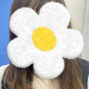 ヒメ日記 2025/08/11 16:37 投稿 なのは 素人妻御奉仕倶楽部Hip's松戸店