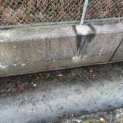 ヒメ日記 2025/02/15 07:33 投稿 雪花(せつか) PLUS梅田店