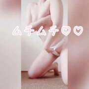 ヒメ日記 2025/03/29 19:42 投稿 雪花(せつか) PLUS梅田店