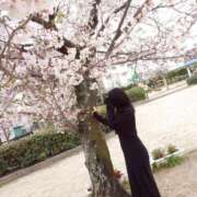 ヒメ日記 2025/04/12 19:52 投稿 雪花(せつか) PLUS梅田店