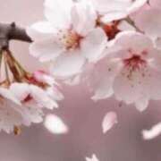 ヒメ日記 2025/04/14 18:26 投稿 なみえ 熟女総本店 日本橋ミナミエリア店