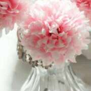 ヒメ日記 2025/04/15 14:26 投稿 なみえ 熟女総本店 日本橋ミナミエリア店