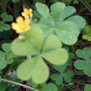 ヒメ日記 2025/05/30 14:26 投稿 なみえ 熟女総本店 日本橋ミナミエリア店